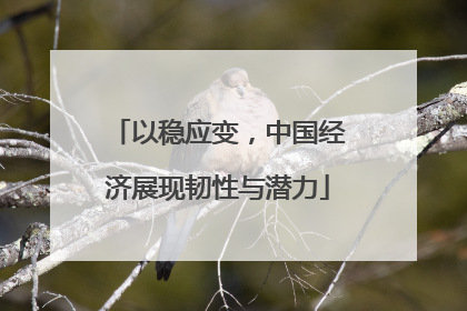以稳应变，中国经济展现韧性与潜力