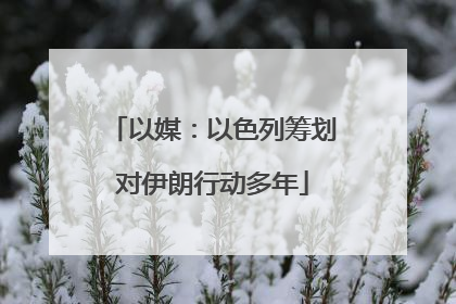 以媒：以色列筹划对伊朗行动多年