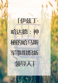 伊兹丁·哈达德：神秘的哈马斯军事组织新领导人