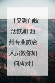 又到白蚁活跃期 池州专业防治人员教你如何应对