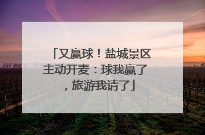 又赢球！盐城景区主动开麦：球我赢了，旅游我请了