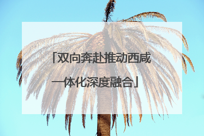双向奔赴推动西咸一体化深度融合