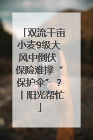 双流千亩小麦9级大风中倒伏 保险难撑“保护伞”？丨阳光帮忙