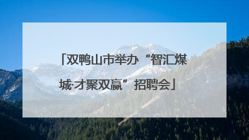 双鸭山市举办“智汇煤城·才聚双赢”招聘会