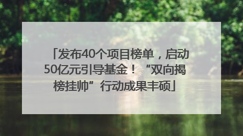 发布40个项目榜单，启动50亿元引导基金！“双向揭榜挂帅”行动成果丰硕