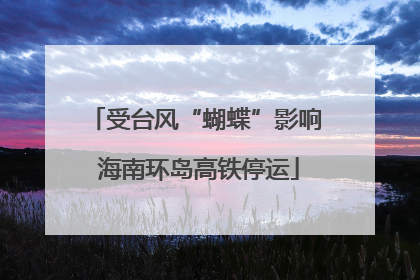 受台风“蝴蝶”影响 海南环岛高铁停运