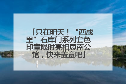只在明天！“西成里”石库门系列套色印章限时亮相思南公馆，快来盖章吧