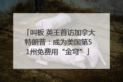 叫板 英王首访加拿大 特朗普：成为美国第51州免费用“金穹”