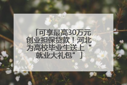 可享最高30万元创业担保贷款！河北为高校毕业生送上“就业大礼包”