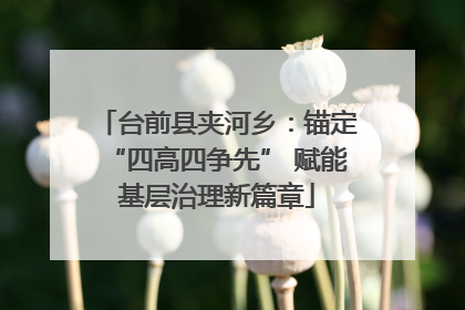 台前县夹河乡：锚定“四高四争先” 赋能基层治理新篇章