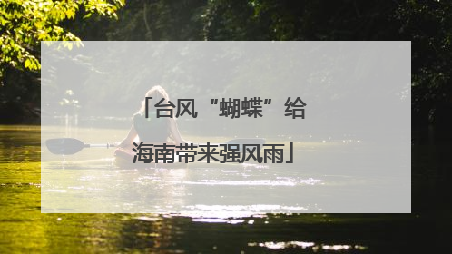 台风“蝴蝶”给海南带来强风雨