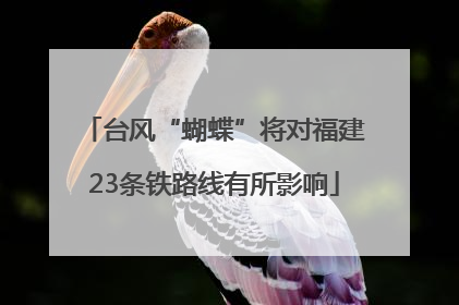 台风“蝴蝶”将对福建23条铁路线有所影响