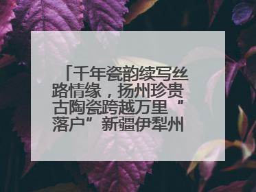 千年瓷韵续写丝路情缘，扬州珍贵古陶瓷跨越万里“落户”新疆伊犁州博物馆