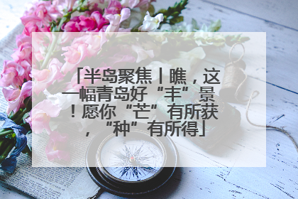 半岛聚焦丨瞧，这一幅青岛好“丰”景！愿你“芒”有所获，“种”有所得