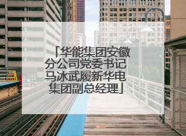华能集团安徽分公司党委书记马冰武履新华电集团副总经理