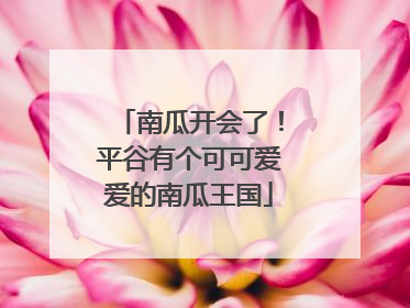 南瓜开会了！平谷有个可可爱爱的南瓜王国