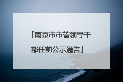 南京市市管领导干部任前公示通告