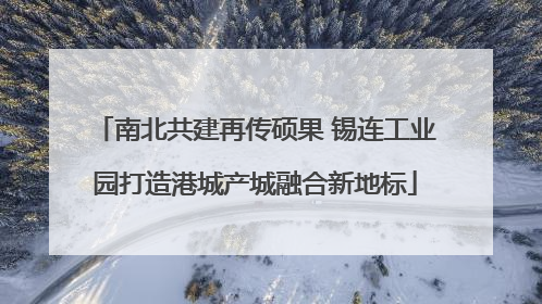 南北共建再传硕果 锡连工业园打造港城产城融合新地标