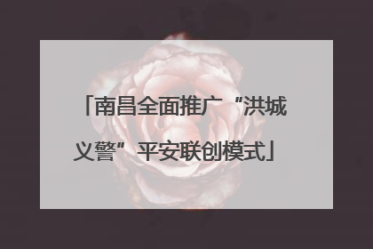 南昌全面推广“洪城义警”平安联创模式