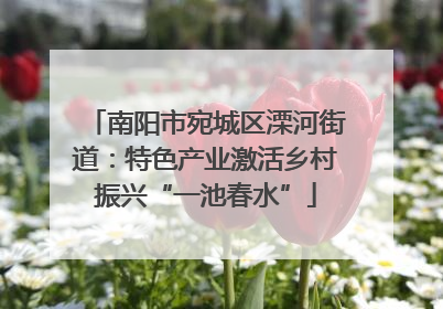 南阳市宛城区溧河街道：特色产业激活乡村振兴“一池春水”