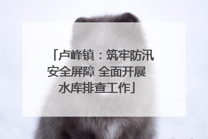 卢峰镇：筑牢防汛安全屏障 全面开展水库排查工作