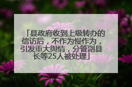 县政府收到上级转办的信访后，不作为慢作为，引发重大舆情，分管副县长等25人被处理