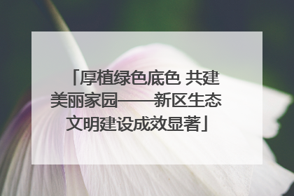 厚植绿色底色 共建美丽家园——新区生态文明建设成效显著