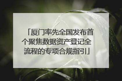 厦门率先全国发布首个聚焦数据资产登记全流程的专项合规指引