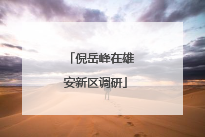 倪岳峰在雄安新区调研