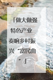 做大做强特色产业 奏响乡村振兴“富民曲”