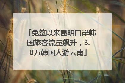 免签以来昆明口岸韩国旅客流量飙升，3.8万韩国人游云南