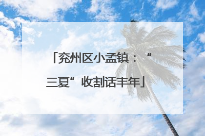 兖州区小孟镇：“三夏”收割话丰年
