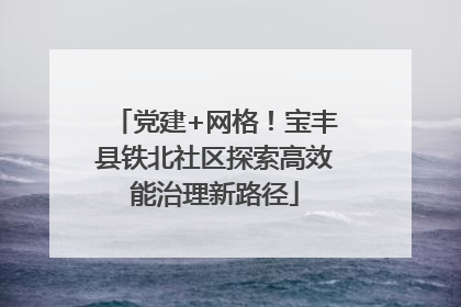 党建+网格!宝丰县铁北社区探索高效能治理新路径
