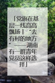 党旗在基层一线高高飘扬丨“去有村的地方”——湖南有一群青年党员这样选择