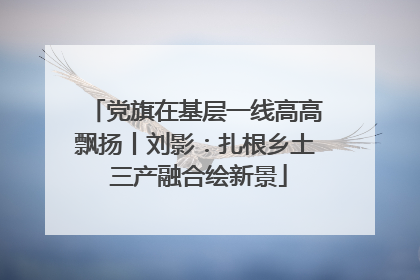 党旗在基层一线高高飘扬丨刘影：扎根乡土 三产融合绘新景