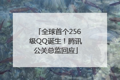 全球首个256级QQ诞生！腾讯公关总监回应