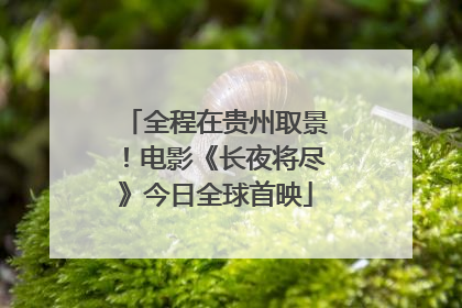 全程在贵州取景！电影《长夜将尽》今日全球首映