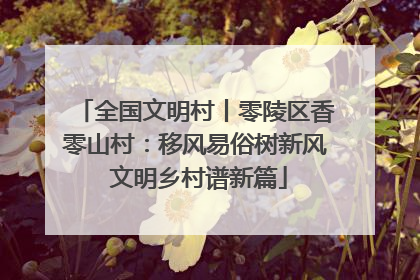 全国文明村丨零陵区香零山村：移风易俗树新风 文明乡村谱新篇