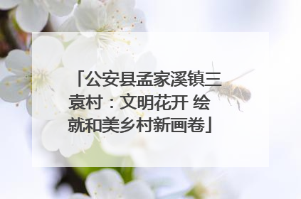 公安县孟家溪镇三袁村：文明花开 绘就和美乡村新画卷