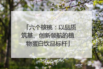 六个核桃：以品质筑基、创新领航的植物蛋白饮品标杆