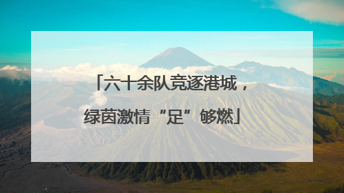 六十余队竞逐港城，绿茵激情“足”够燃
