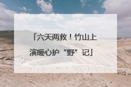 六天两救！竹山上演暖心护“野”记