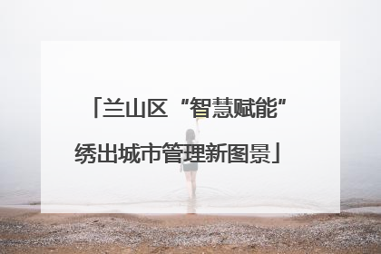 兰山区“智慧赋能”绣出城市管理新图景