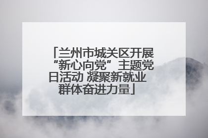 兰州市城关区开展“新心向党”主题党日活动 凝聚新就业群体奋进力量