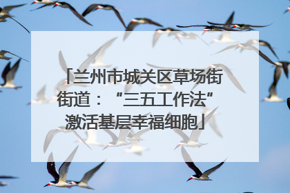 兰州市城关区草场街街道：“三五工作法”激活基层幸福细胞
