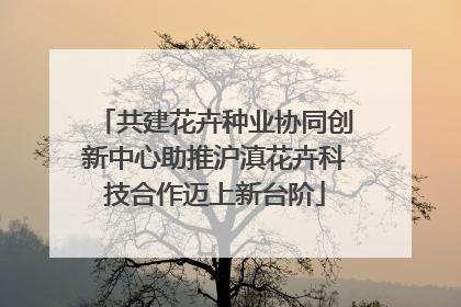 共建花卉种业协同创新中心助推沪滇花卉科技合作迈上新台阶