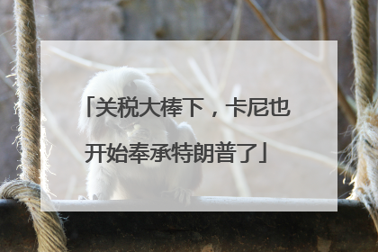 关税大棒下，卡尼也开始奉承特朗普了
