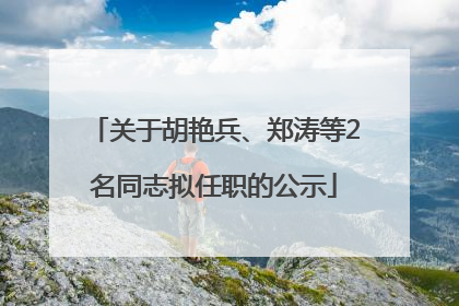 关于胡艳兵、郑涛等2名同志拟任职的公示