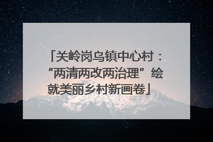 关岭岗乌镇中心村：“两清两改两治理”绘就美丽乡村新画卷
