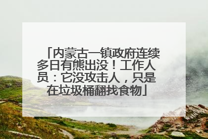 内蒙古一镇政府连续多日有熊出没！工作人员：它没攻击人，只是在垃圾桶翻找食物